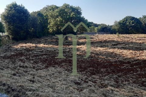 Helårsgrund i Ostuni, Brindisi, Ostuni - € 410.000 | Ref: Terreno Rella14 - foto 16